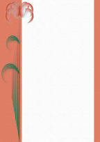 orange free A4 journals abstract flower petals pinks greens