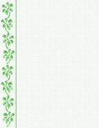 green shamrock border greens and whites