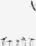 free seagulls stationery for summer, spring, ocean or birds computer letters